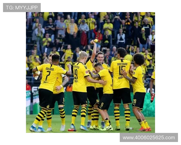 上赛季德甲降级的球队名单及战绩回顾