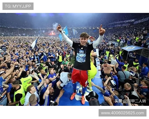 哪支德甲球队最不受欢迎？球迷调查结果大曝光