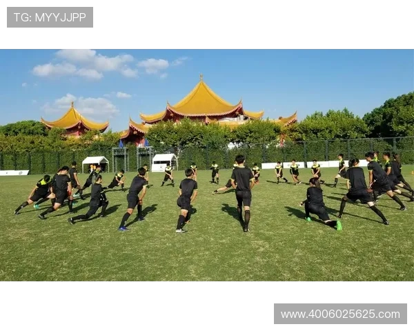 黑衣法官的自我修养：现代裁判体能训练全揭秘